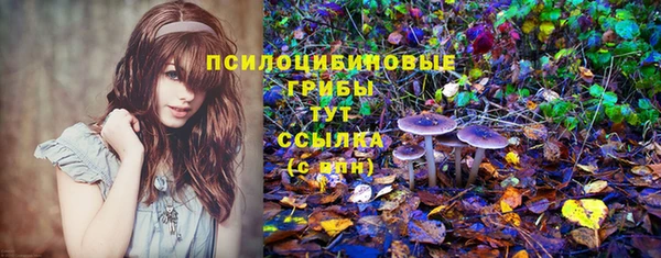синтетический гашиш Арсеньев